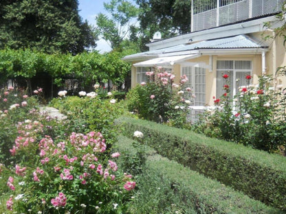 Albert House Bed And Breakfast Cradock Eastern Cape South Africa House, Building, Architecture, Plant, Nature, Rose, Flower, Garden