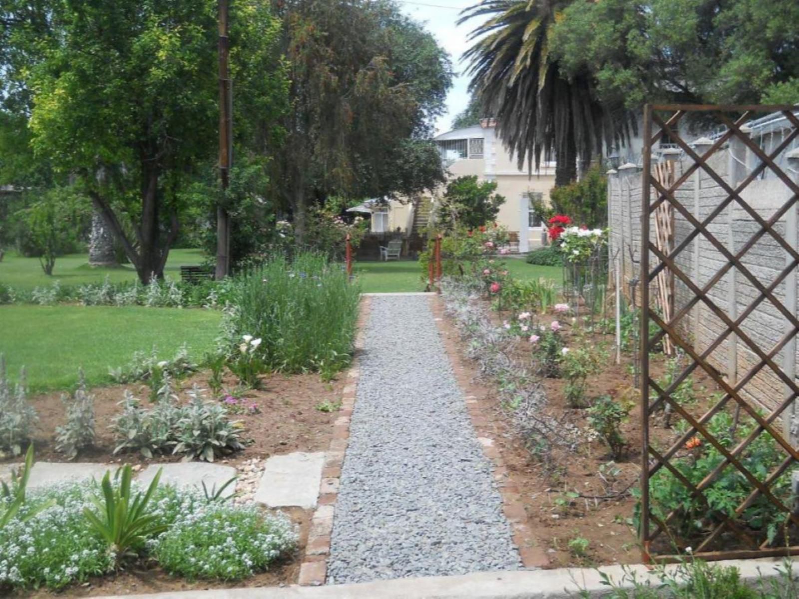 Albert House Bed And Breakfast Cradock Eastern Cape South Africa House, Building, Architecture, Palm Tree, Plant, Nature, Wood, Garden