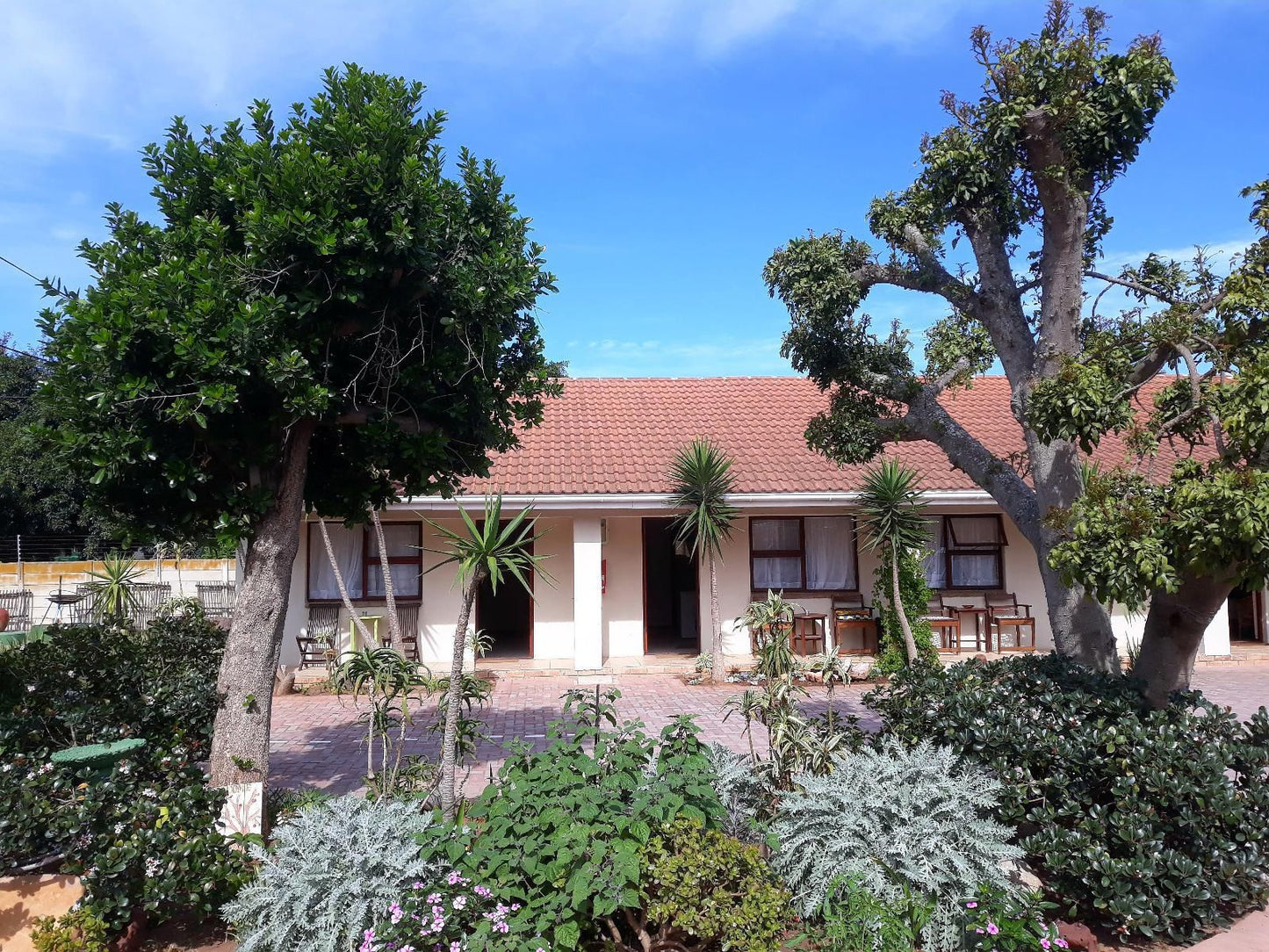 Albert Road Garden Guest House Walmer Port Elizabeth Eastern Cape South Africa House, Building, Architecture, Palm Tree, Plant, Nature, Wood