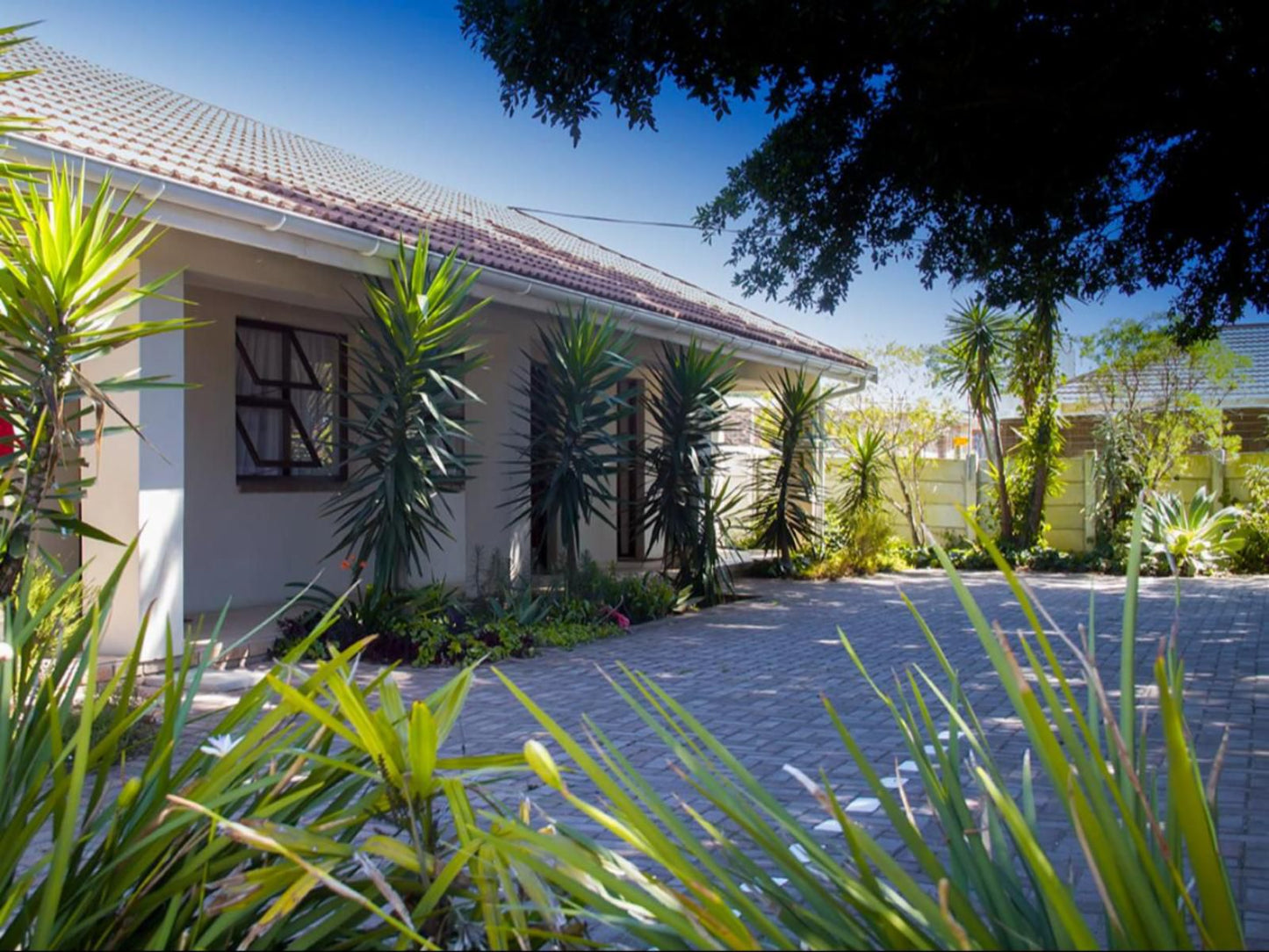 Albert Road Garden Guest House Walmer Port Elizabeth Eastern Cape South Africa House, Building, Architecture, Palm Tree, Plant, Nature, Wood