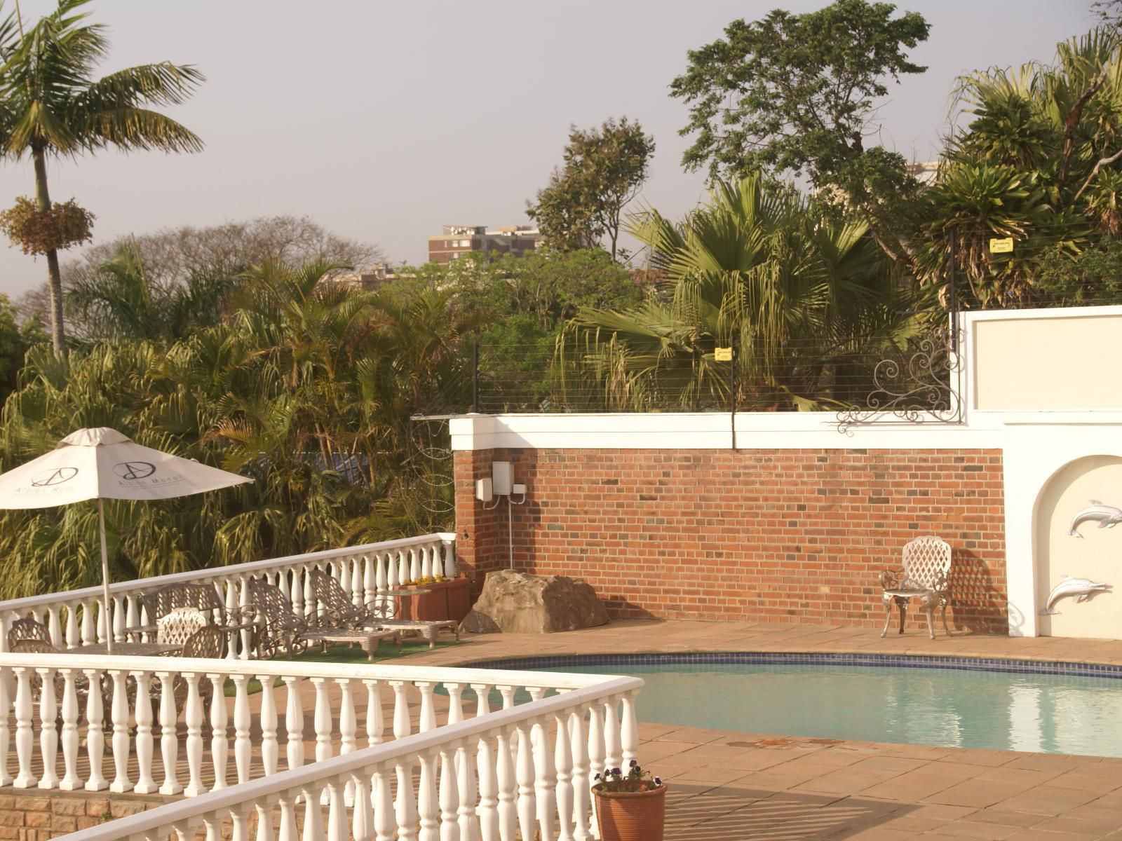 Albion Manor Morningside Durban Kwazulu Natal South Africa Palm Tree, Plant, Nature, Wood, Swimming Pool