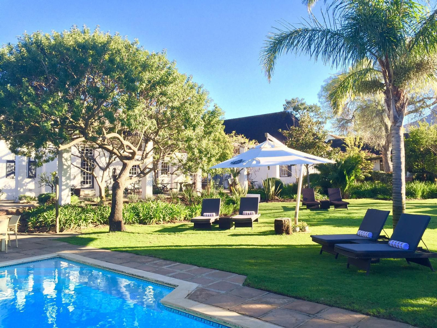 Albourne Boutique Guest House Golden Acre Somerset West Western Cape South Africa Complementary Colors, Palm Tree, Plant, Nature, Wood, Garden, Swimming Pool