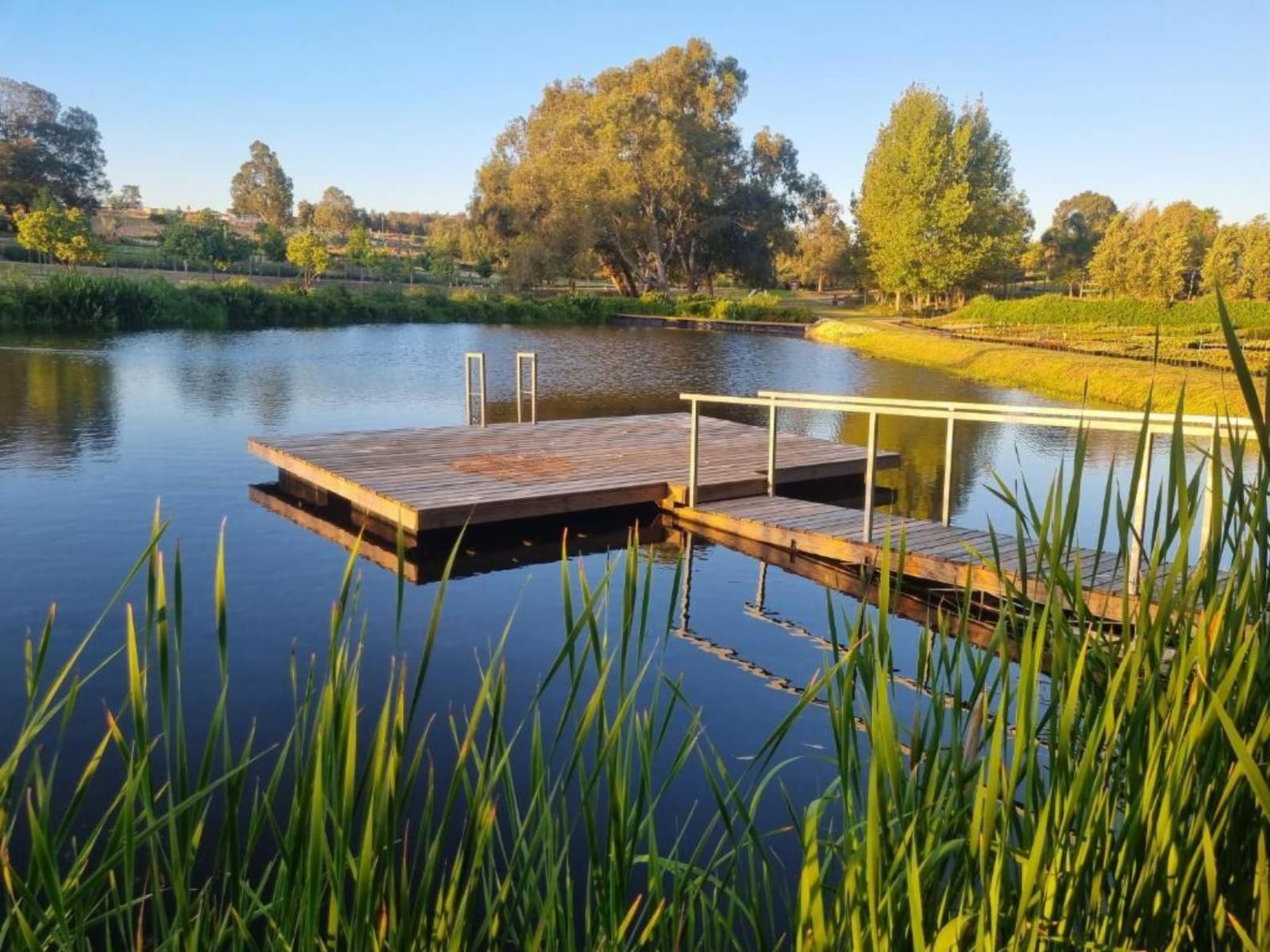 Alimandi Nursery Cottage, River, Nature, Waters