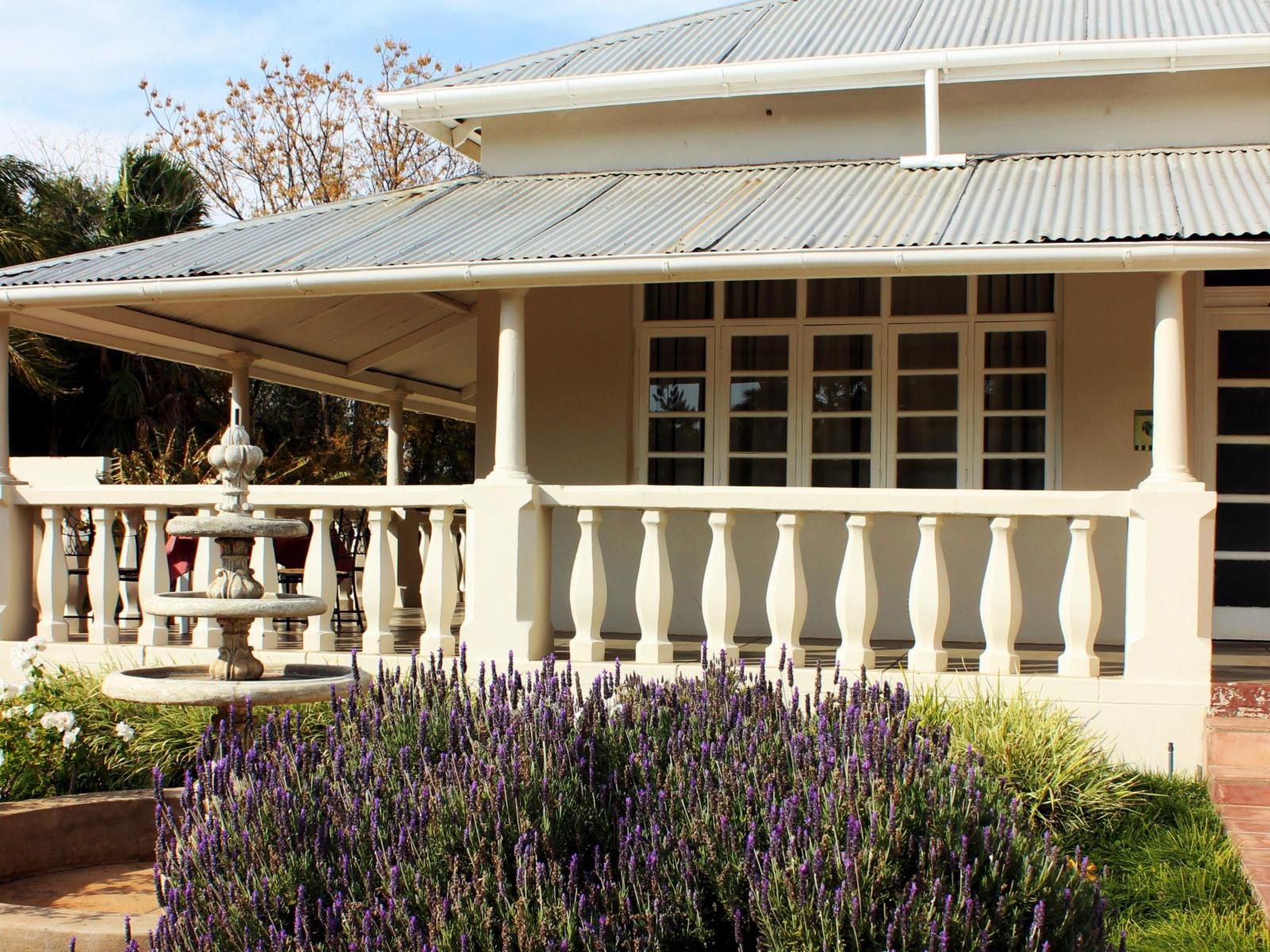 Alimento Guest House Upington Northern Cape South Africa House, Building, Architecture, Plant, Nature