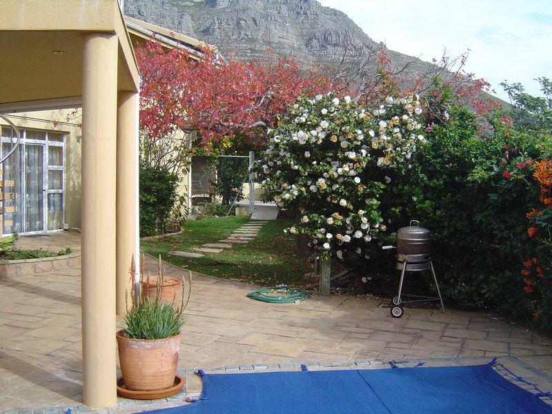 Alina S Haus Vredehoek Cape Town Western Cape South Africa Garden, Nature, Plant