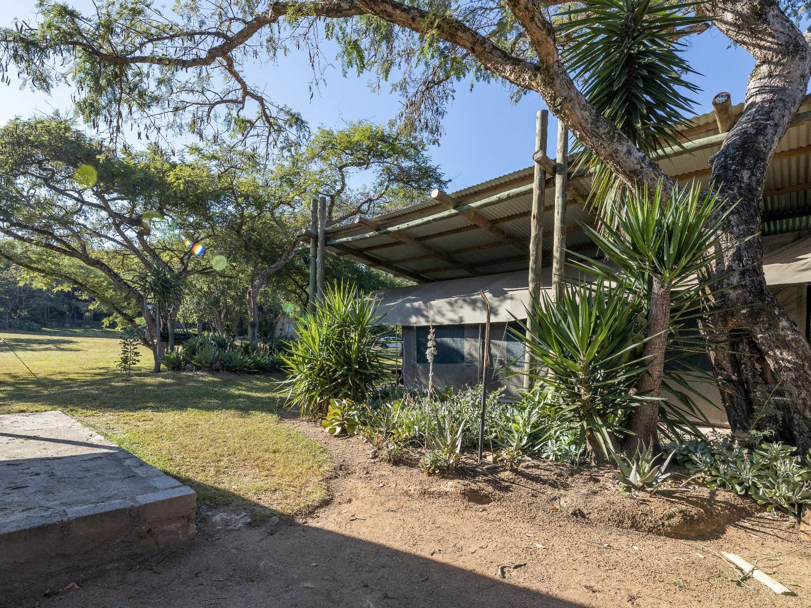 Alkmaar Farmstay Nelspruit Mpumalanga South Africa House, Building, Architecture, Palm Tree, Plant, Nature, Wood