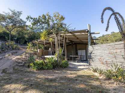 Alkmaar Farmstay Nelspruit Mpumalanga South Africa Palm Tree, Plant, Nature, Wood