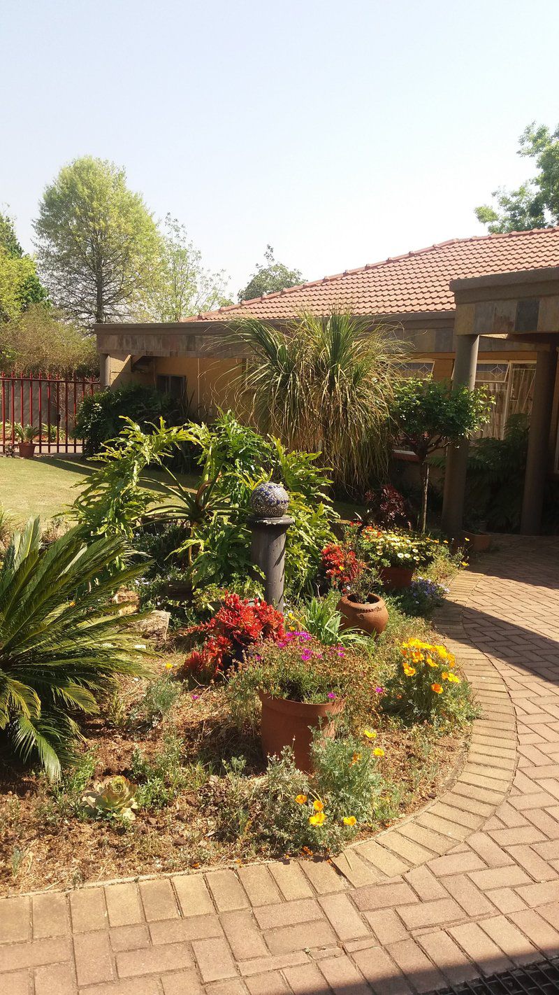 Allen Grove Self Catering Kempton Park Johannesburg Gauteng South Africa Plant, Nature, Garden