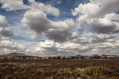 Allendale Graaff Reinet Eastern Cape South Africa Desert, Nature, Sand, Lowland