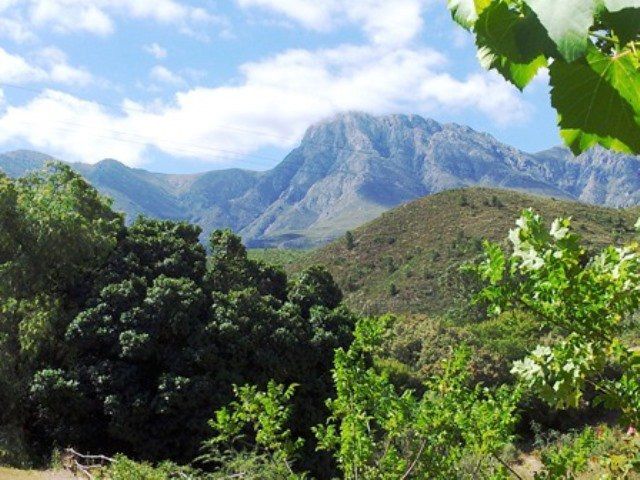 Almondbury Guest Farm Robertson Western Cape South Africa Complementary Colors, Mountain, Nature, Highland