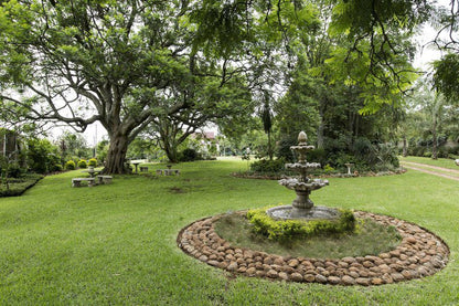 Aloe Country Lodge Piet Retief Mpumalanga South Africa Plant, Nature, Garden