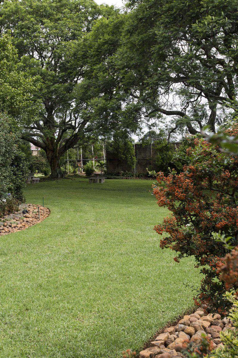 Aloe Country Lodge Piet Retief Mpumalanga South Africa Plant, Nature, Tree, Wood, Garden