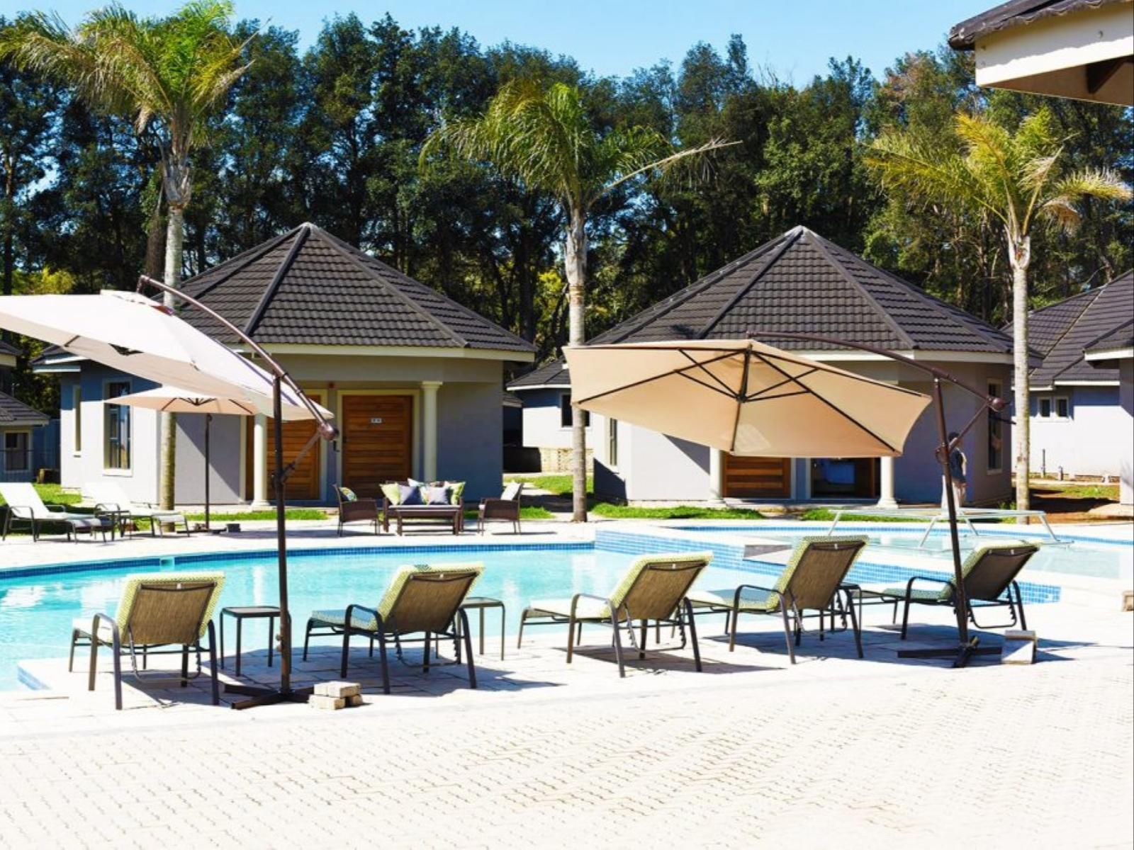 Aloe Lifestyle Hotel Eshowe Kwazulu Natal South Africa Palm Tree, Plant, Nature, Wood, Swimming Pool