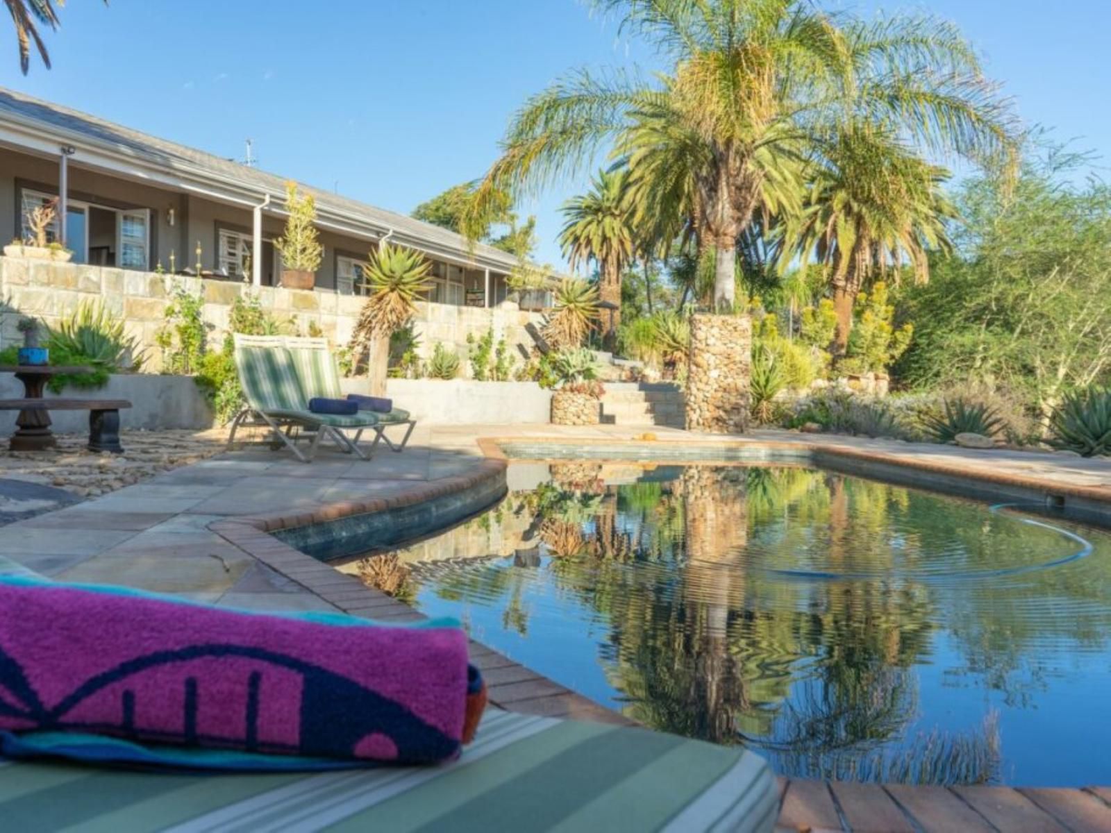 Aloe Manor, Palm Tree, Plant, Nature, Wood, Garden, Swimming Pool