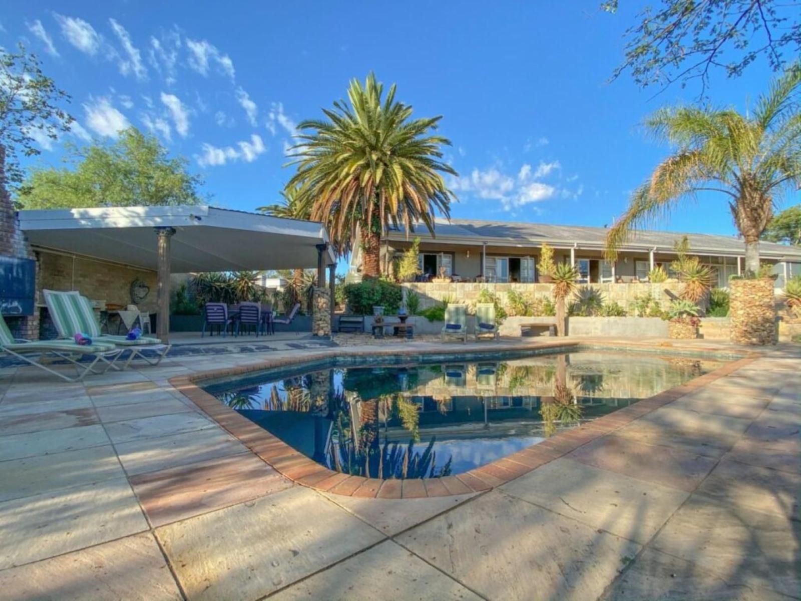 Aloe Manor, Palm Tree, Plant, Nature, Wood, Swimming Pool