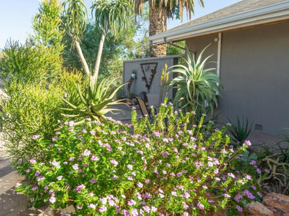 Aloe Manor, House, Building, Architecture, Plant, Nature, Garden