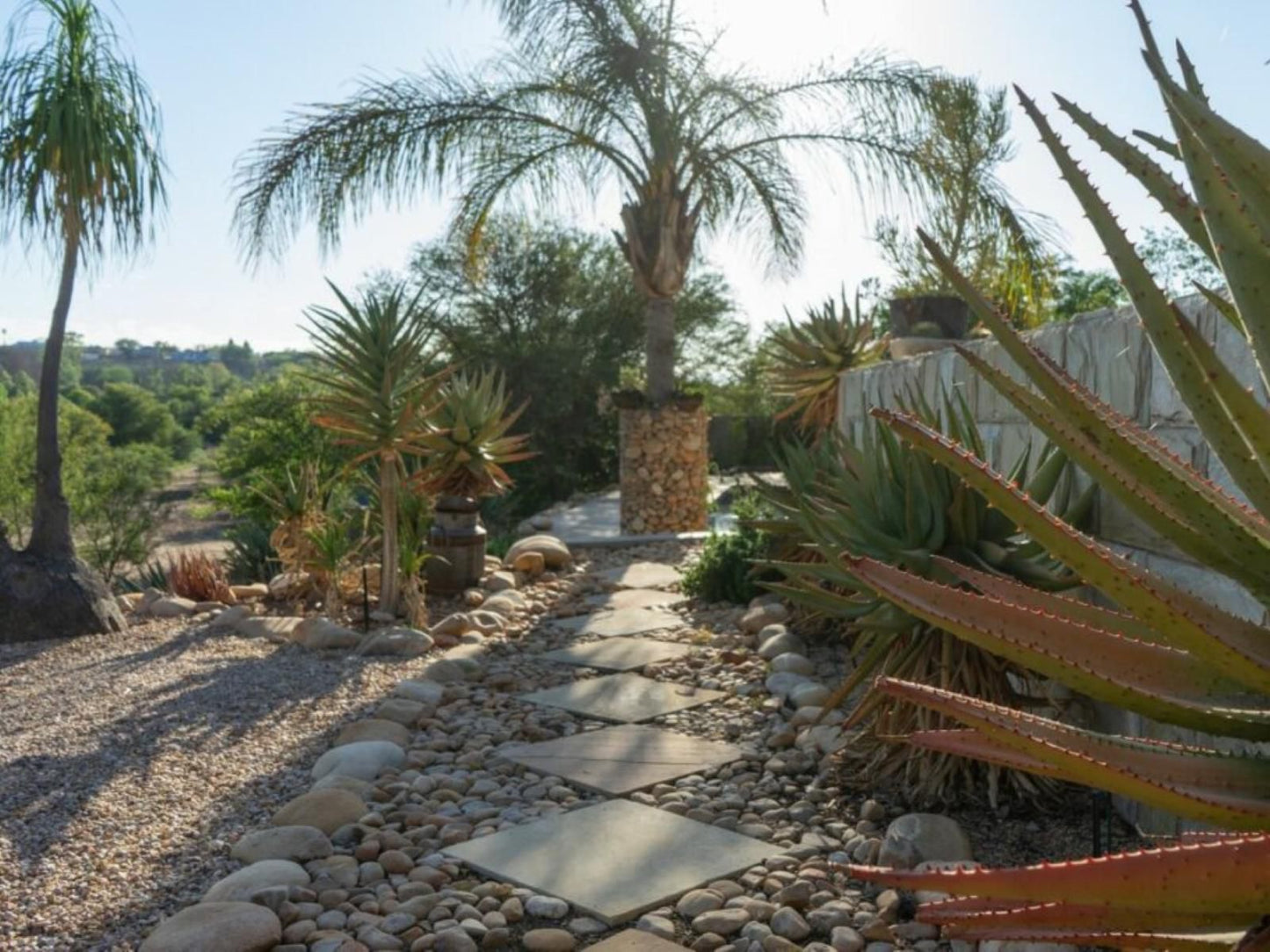 Aloe Manor, Palm Tree, Plant, Nature, Wood, Garden