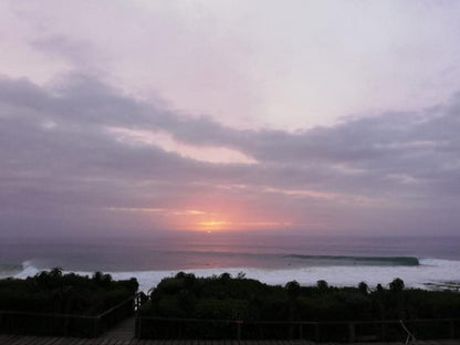 Aloe Again Ferreira Town Jeffreys Bay Eastern Cape South Africa Unsaturated, Beach, Nature, Sand, Palm Tree, Plant, Wood, Sky, Sunset