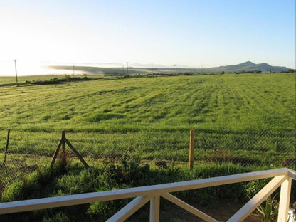 Aloe Cottage Darling Darling Western Cape South Africa Field, Nature, Agriculture, Lowland