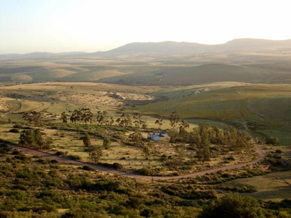 Aloe Cottage Darling Darling Western Cape South Africa Nature