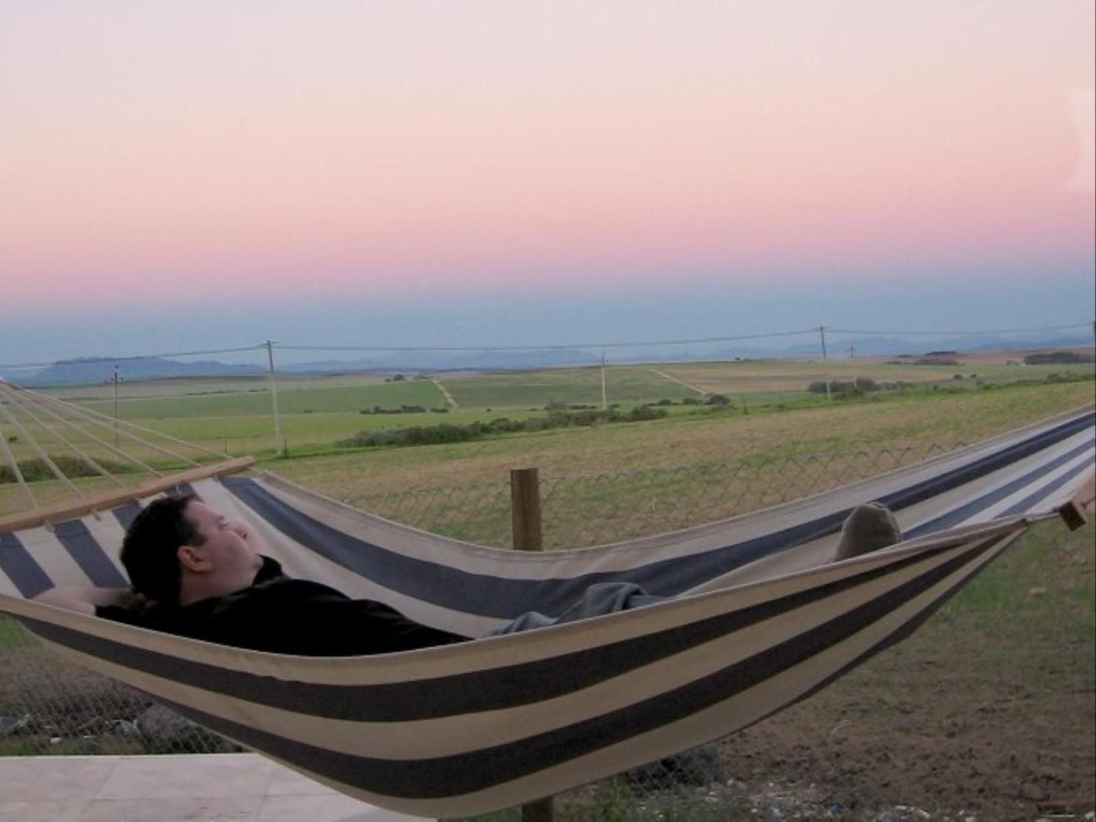 Aloe Cottage Darling Darling Western Cape South Africa Sky, Nature