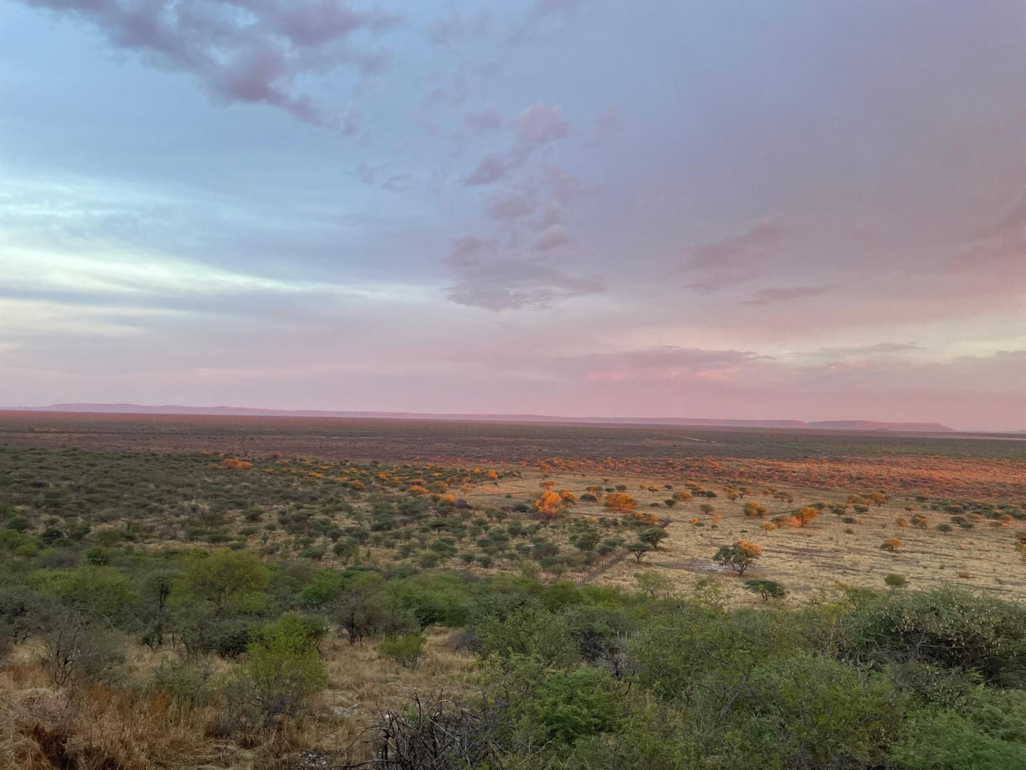 Aloegrove Safari Lodge, Desert, Nature, Sand, Lowland