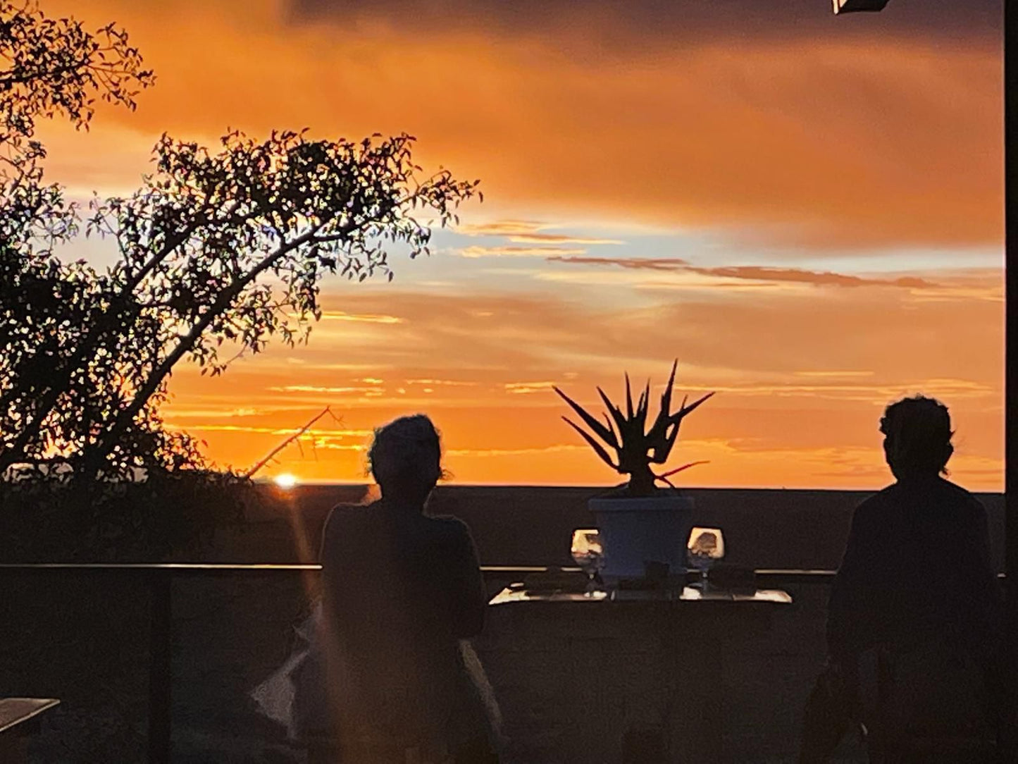 Aloegrove Safari Lodge, Silhouette, Sunset, Nature, Sky, Person