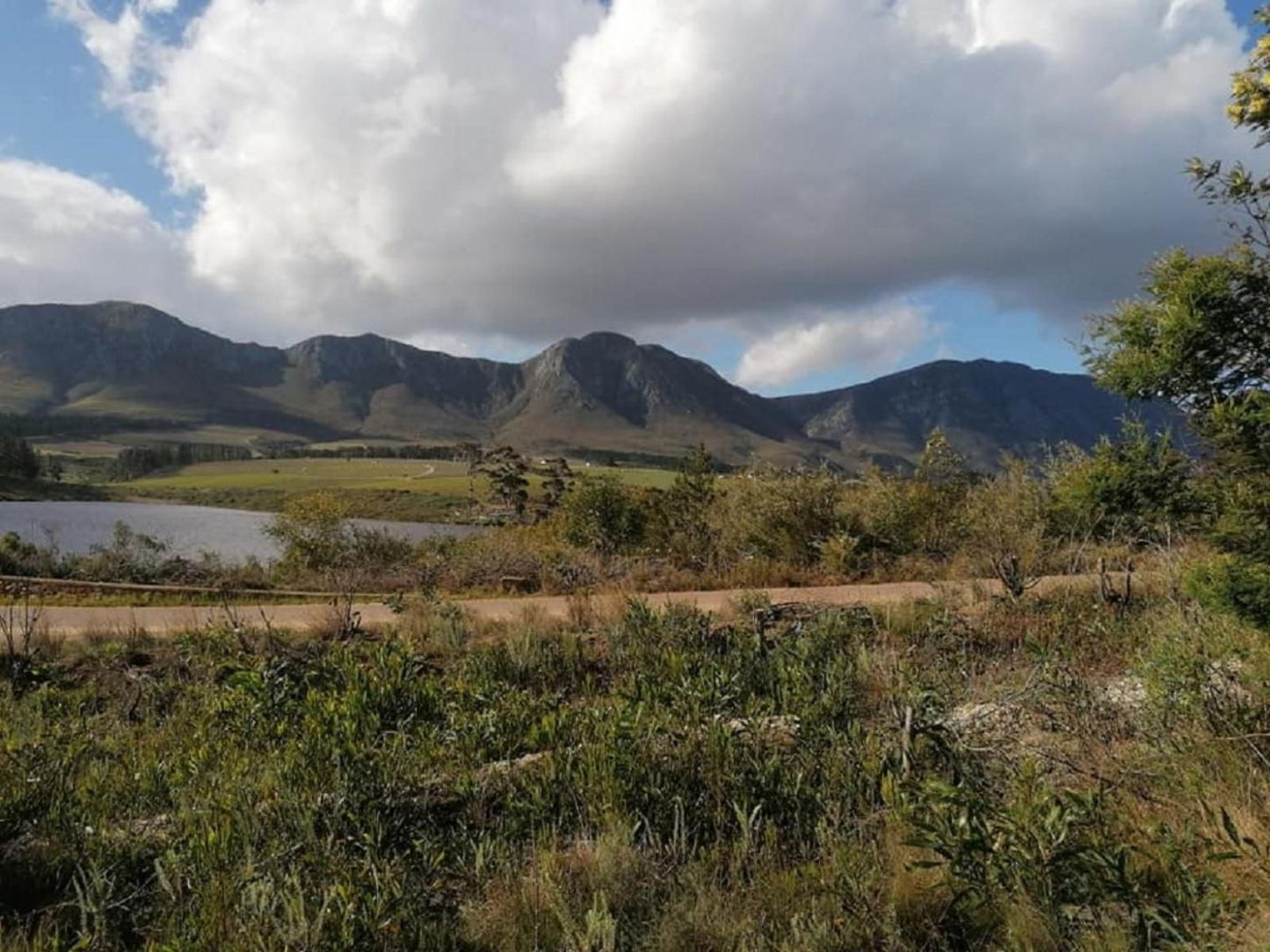 Aloe House Guest Lodge Hermanus Western Cape South Africa Mountain, Nature, Highland