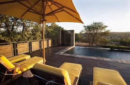 Aloe Lane Guest Lodge Lonehill Johannesburg Gauteng South Africa Swimming Pool