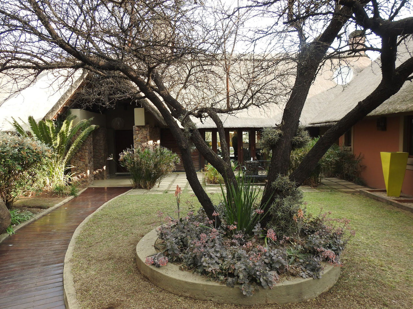 Aloe Lane Guest Lodge Lonehill Johannesburg Gauteng South Africa House, Building, Architecture, Plant, Nature, Garden