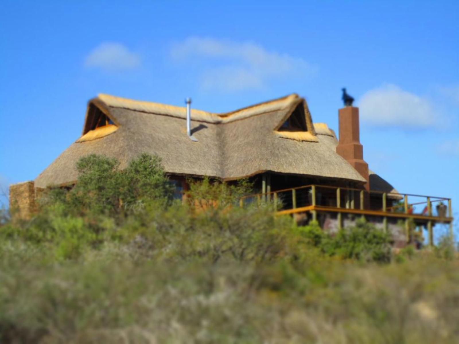 Aloe Ridge Swellendam Western Cape South Africa Complementary Colors, Building, Architecture