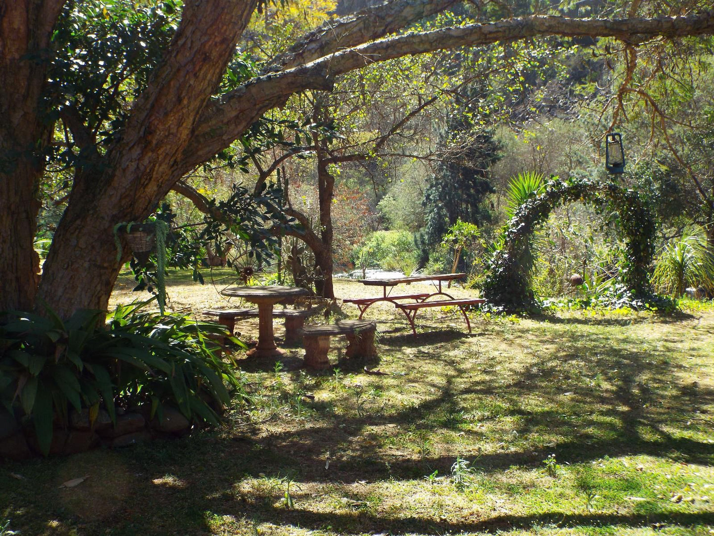 Aloes Country Inn Waterval Boven Mpumalanga South Africa Plant, Nature, Garden