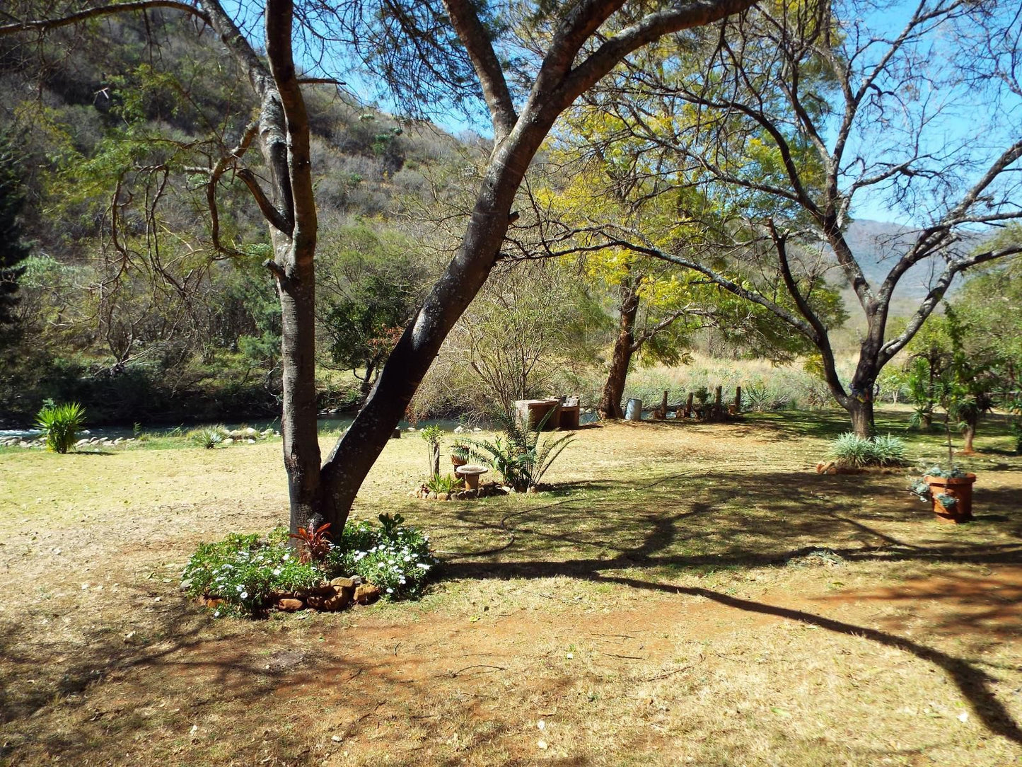 Aloes Country Inn Waterval Boven Mpumalanga South Africa Plant, Nature, Garden