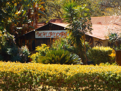 Aloes Country Inn Waterval Boven Mpumalanga South Africa Plant, Nature