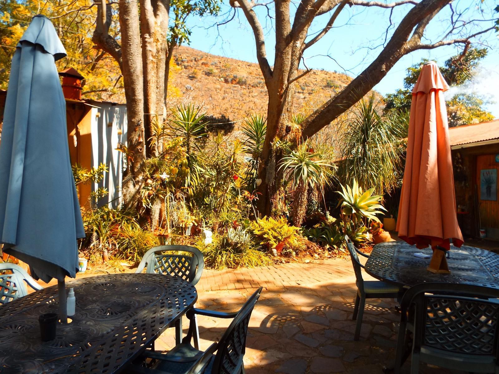 Aloes Country Inn Waterval Boven Mpumalanga South Africa Plant, Nature, Garden