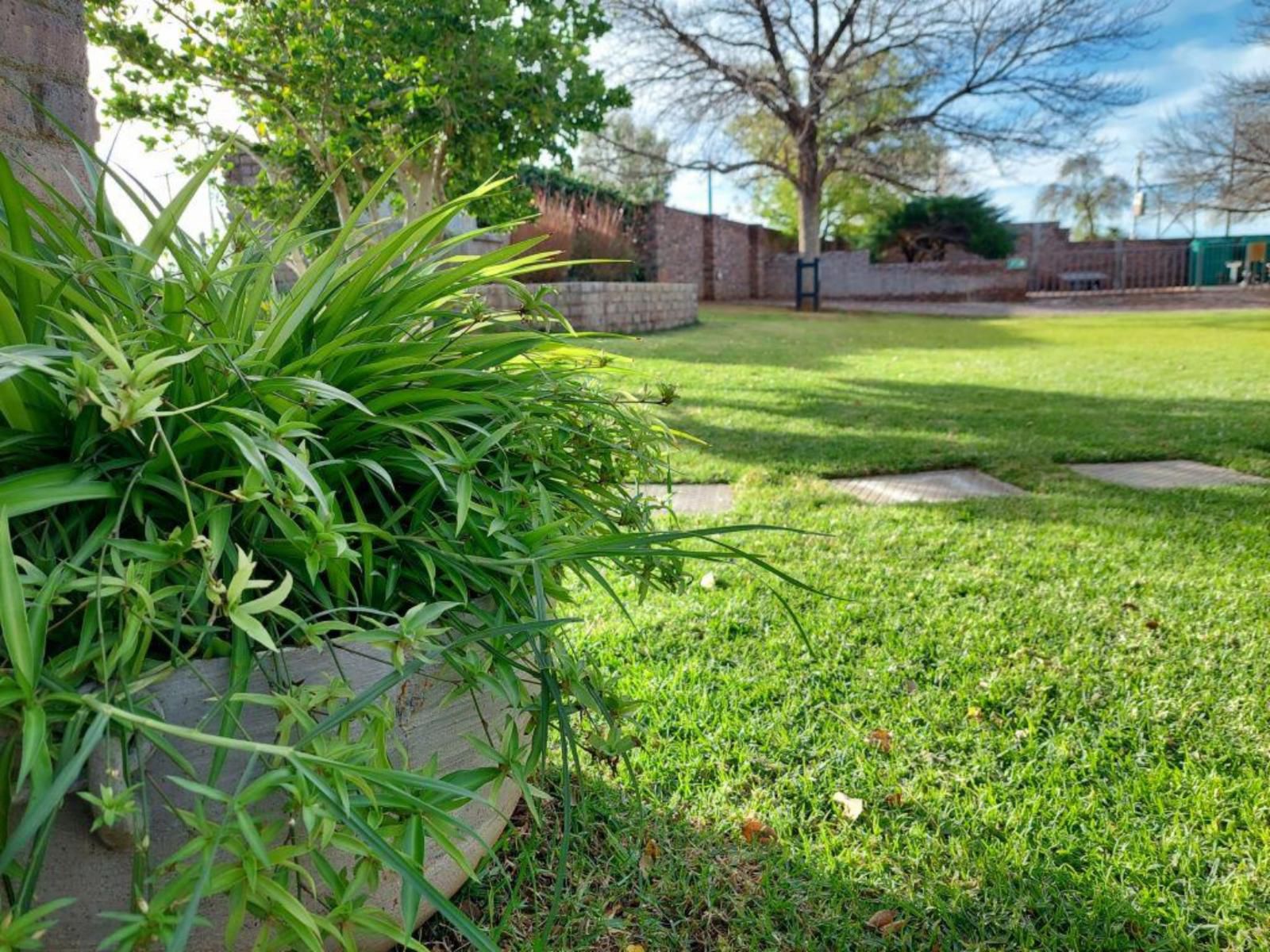 Aloes Guest House 62 On Meintjies Middelburg Eastern Cape Eastern Cape South Africa Plant, Nature, Garden