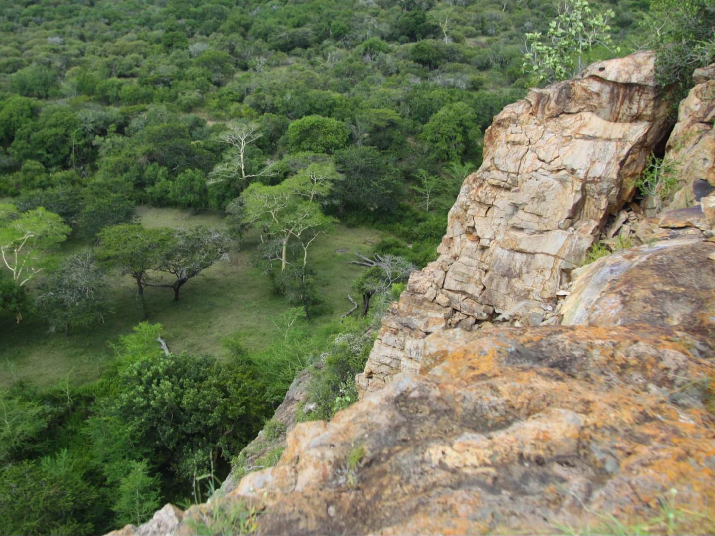 Aloe View Rock Lodge Hluhluwe Kwazulu Natal South Africa Cliff, Nature, Forest, Plant, Tree, Wood, Ruin, Architecture, Stone Texture, Texture