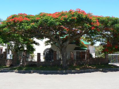 Aloha Bed And Breakfast Self Catering Baysville East London Eastern Cape South Africa House, Building, Architecture, Plant, Nature