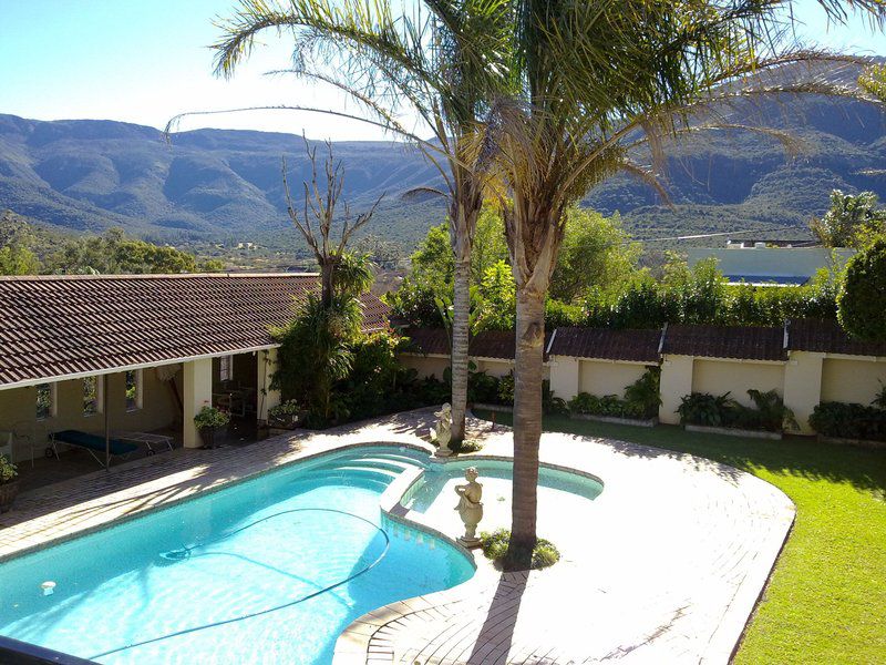 Aloma House Somerset East Eastern Cape South Africa Palm Tree, Plant, Nature, Wood, Swimming Pool