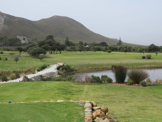 Alpaca Self Catering Cottage Kleinmond Western Cape South Africa Ball Game, Sport, Golfing, Highland, Nature