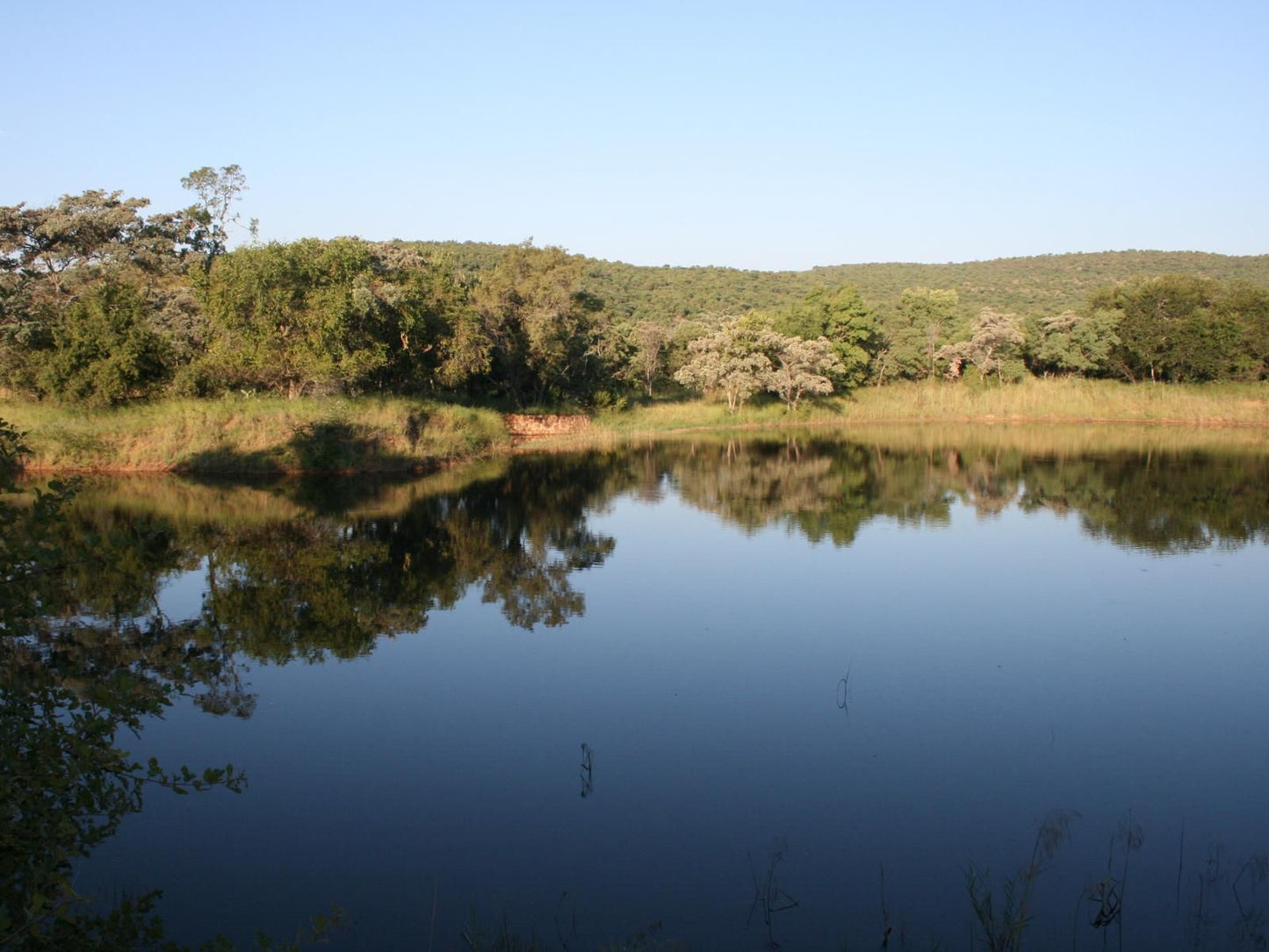 Alpetra Nature Reserve Welgevonden Game Reserve Limpopo Province South Africa Complementary Colors, Lake, Nature, Waters, River, Tree, Plant, Wood