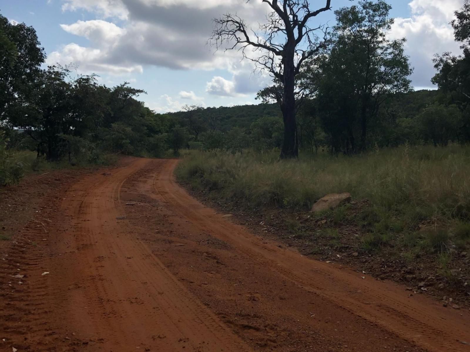 Alpetra Nature Reserve Welgevonden Game Reserve Limpopo Province South Africa Forest, Nature, Plant, Tree, Wood, Lowland, Street