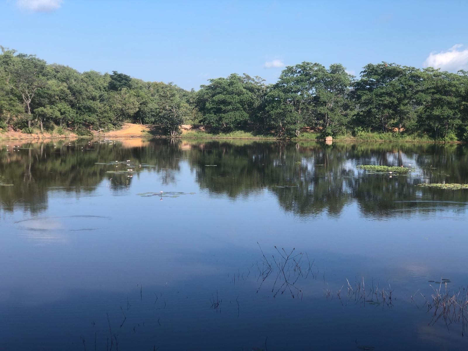 Alpetra Nature Reserve Welgevonden Game Reserve Limpopo Province South Africa River, Nature, Waters