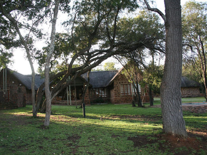 Alpetra Nature Reserve Welgevonden Game Reserve Limpopo Province South Africa Tree, Plant, Nature, Wood