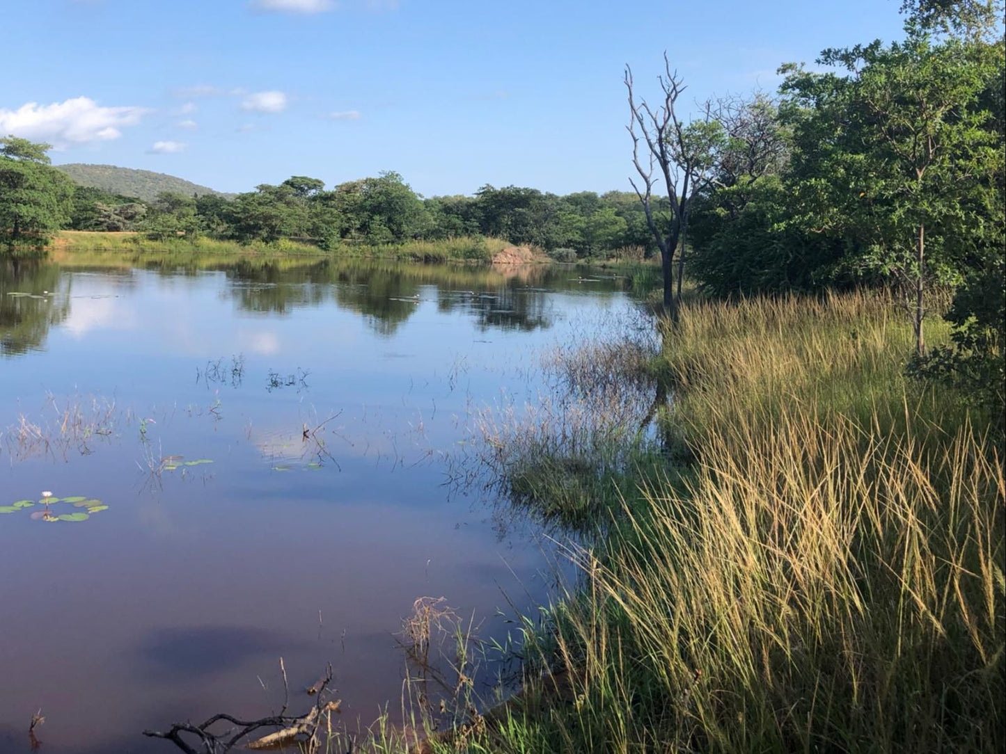 Alpetra Nature Reserve Welgevonden Game Reserve Limpopo Province South Africa River, Nature, Waters