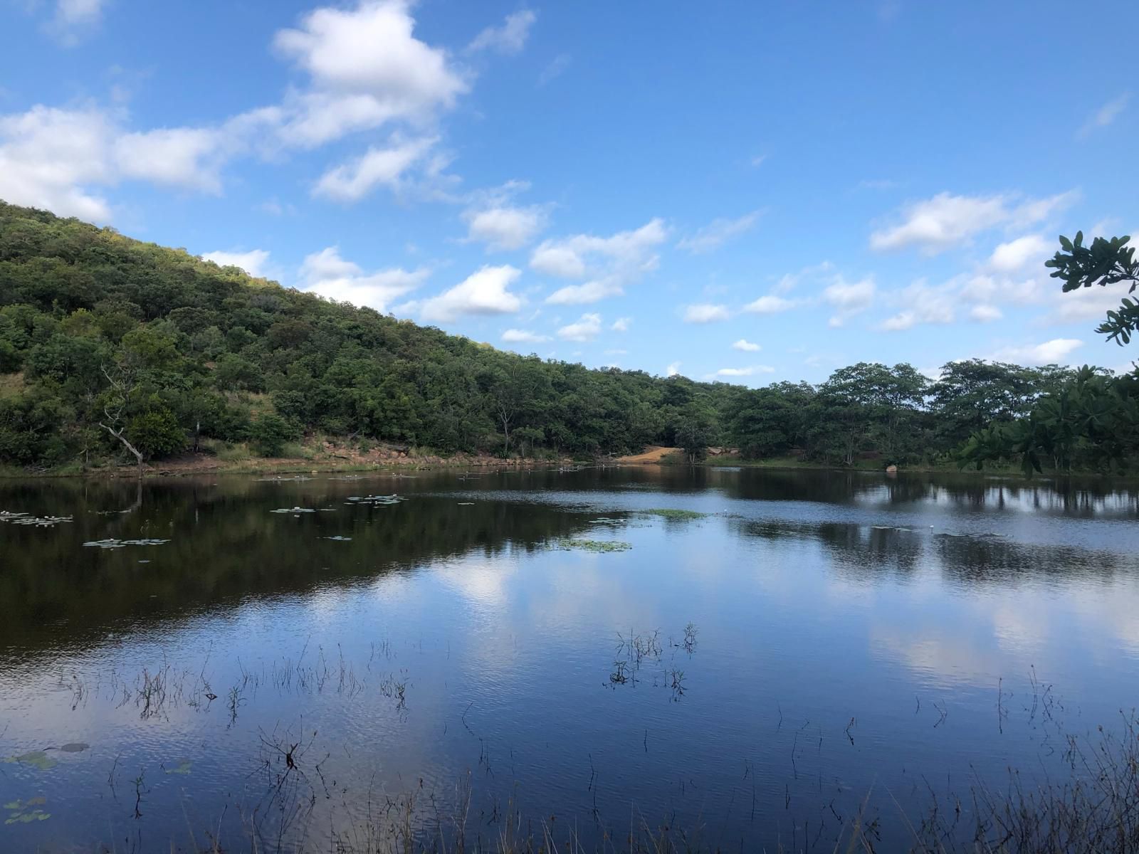 Alpetra Nature Reserve Welgevonden Game Reserve Limpopo Province South Africa River, Nature, Waters