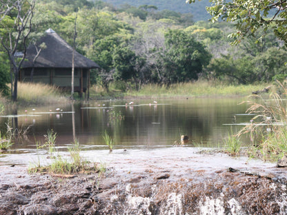 Lakeside Cabin @ Alpetra Nature Reserve