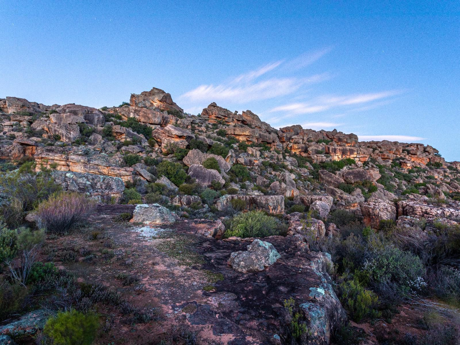 Alpha Excelsior Guest Farm, Cactus, Plant, Nature, Canyon, Ruin, Architecture, Stone Texture, Texture