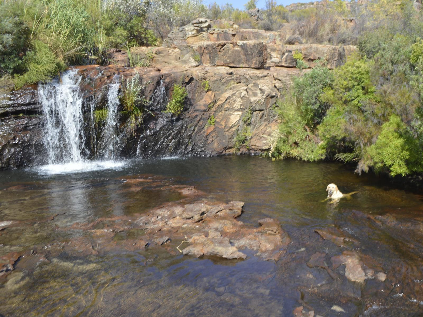 Alpha Excelsior Guest Farm, River, Nature, Waters, Waterfall