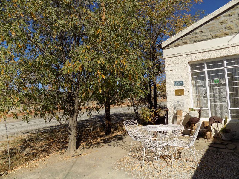 Alpha Self Catering Sutherland Northern Cape South Africa Tree, Plant, Nature, Wood